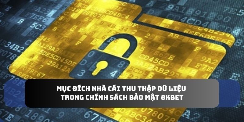 Nguyên tắc giữ kín thông tin cá nhân của nhà cái